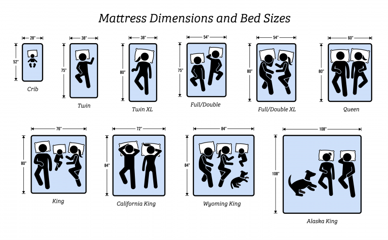 Visual Bed Size Chart