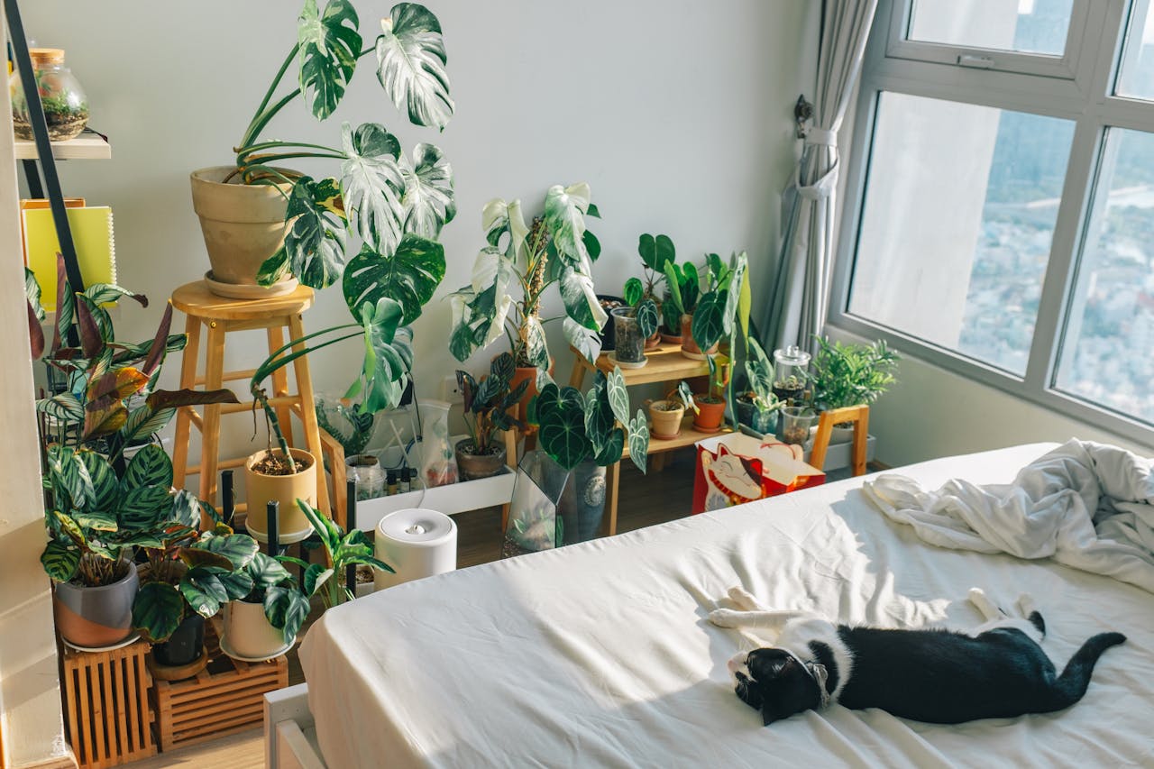 Biophilic bedroom design