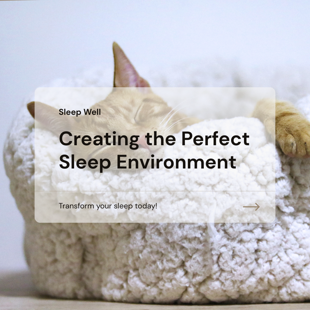 How Your Sleep Environment Affects Sleep Quality