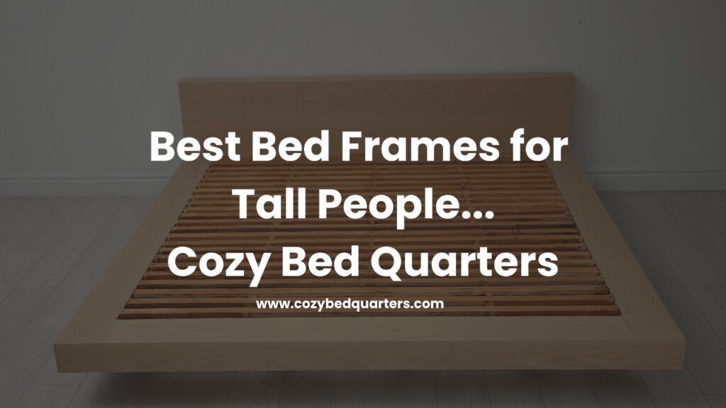 Best Bed Frames