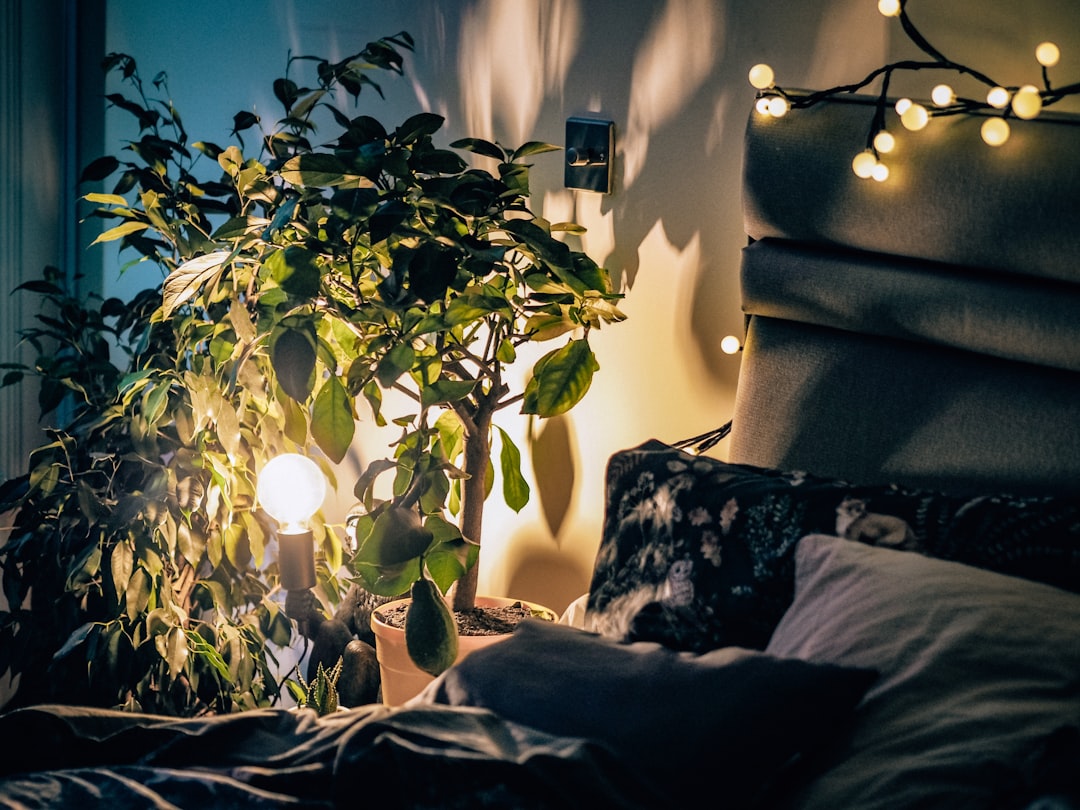 Organic Bedding: 5 Essential Reasons You’ll Love the Switch - Featured Image