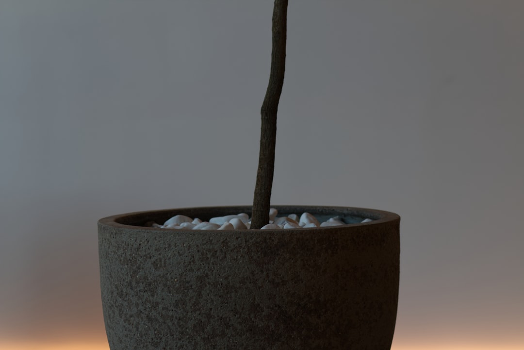 Fitted sheet snugly placed for selecting perfect bed linen fit