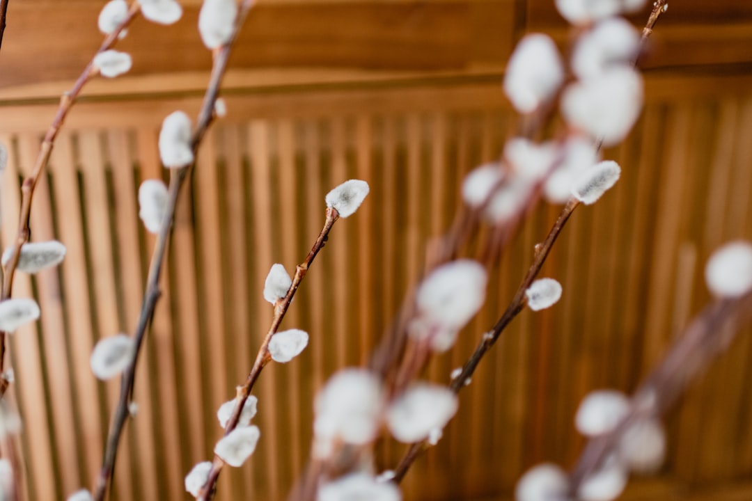 Dusk Bedding Egyptian cotton duvet cover set on bed