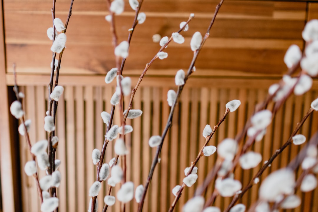 Dusk Bedding packaging and linens — eco-minded details