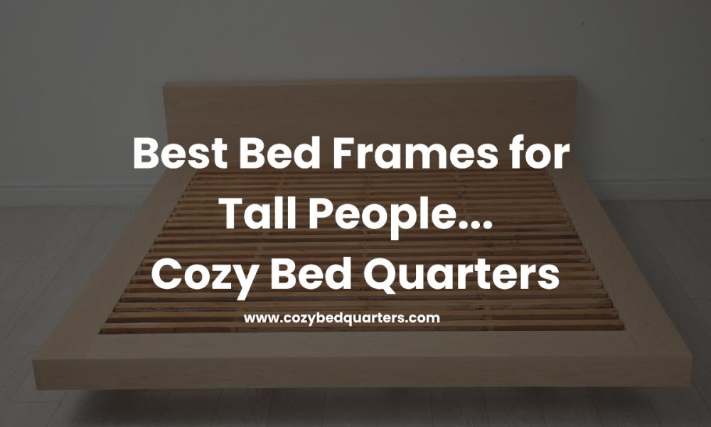 Best Bed Frames