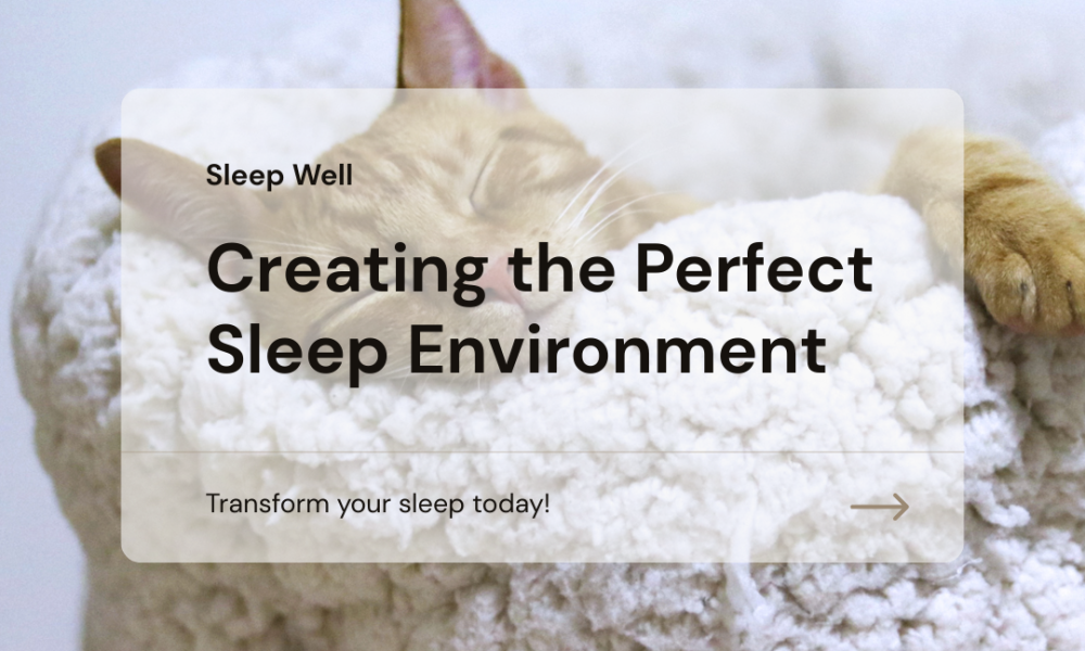 How Your Sleep Environment Affects Sleep Quality