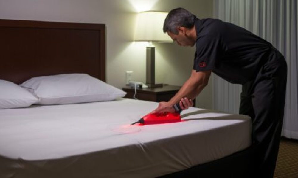 Tackling Bed Bug Issues
