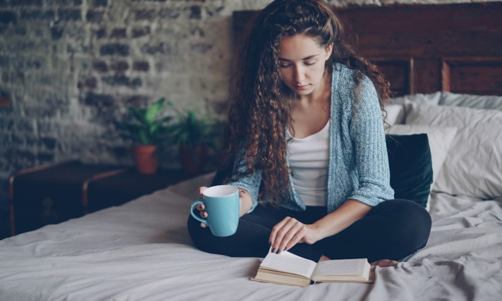 Bookcase Storage Beds Under Five Hundred Dollars - Featured Image