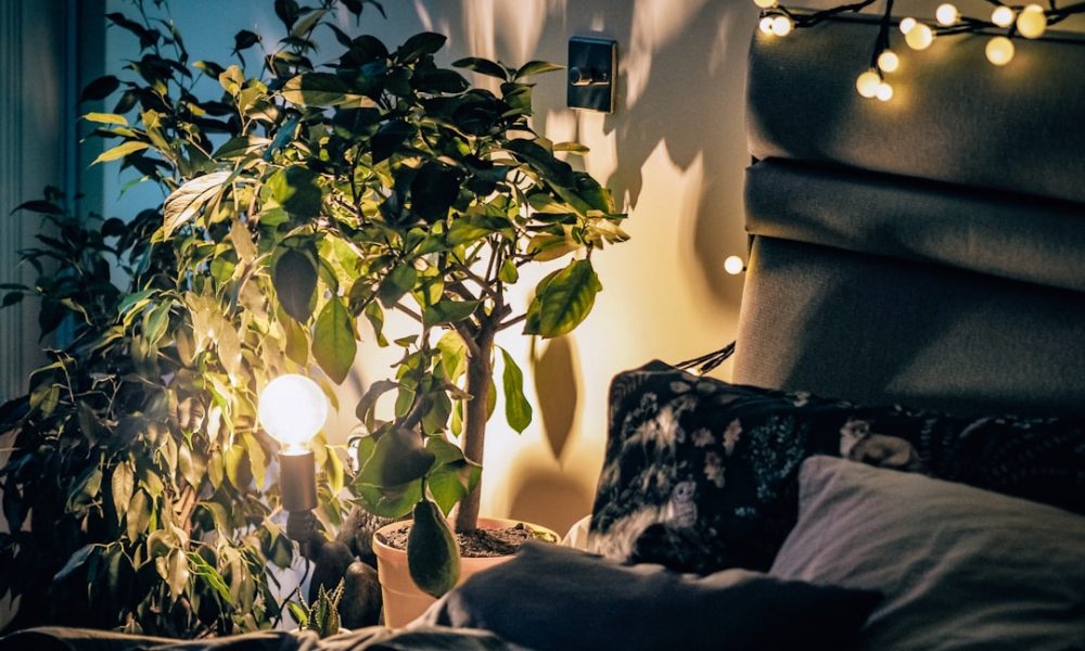 Organic Bedding: 5 Essential Reasons You’ll Love the Switch - Featured Image