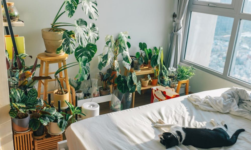 Biophilic bedroom design