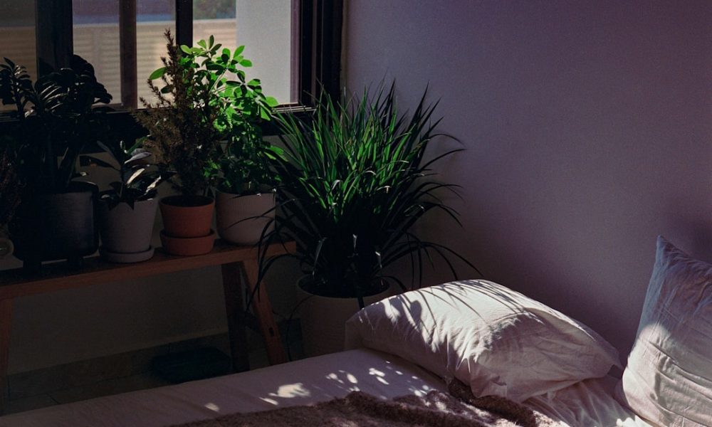 Wooden Bed with Storage: Maximize Space and Style - Featured Image